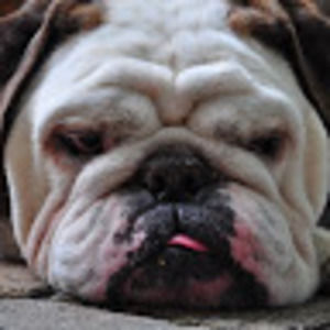 Meet your Posher, Pete